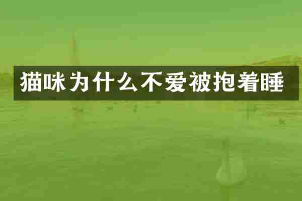 猫咪为什么不爱被抱着睡