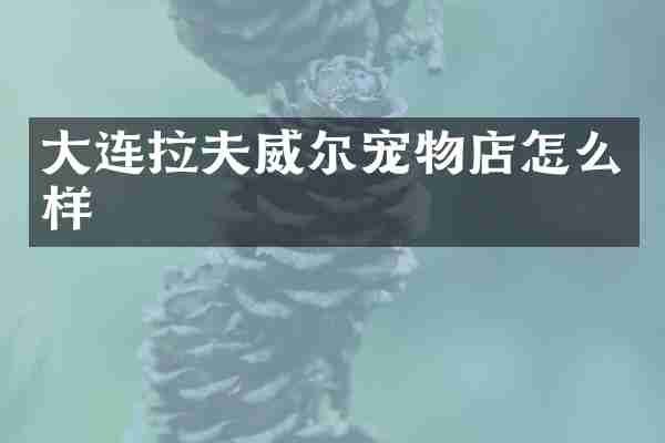 大连拉夫威尔宠物店怎么样