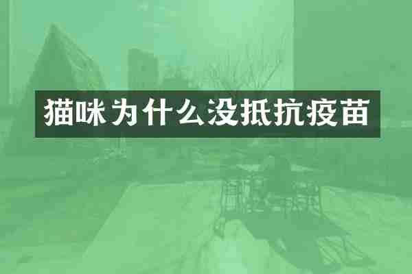 猫咪为什么没抵抗疫苗