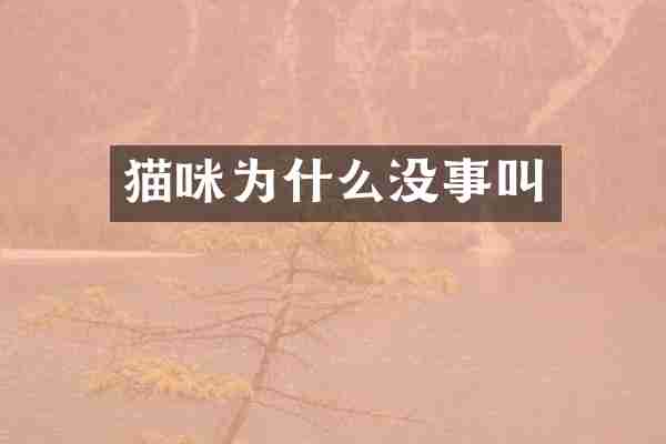猫咪为什么没事叫