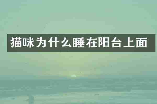 猫咪为什么睡在阳台上面