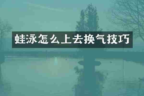 蛙泳怎么上去换气技巧