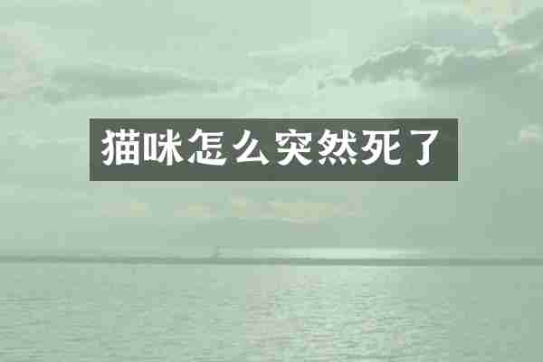 猫咪怎么突然死了