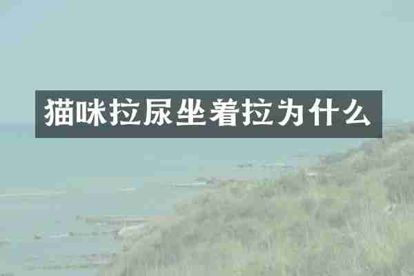 猫咪拉尿坐着拉为什么
