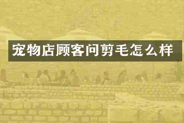 宠物店顾客问剪毛怎么样