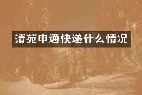 清苑申通快递什么情况