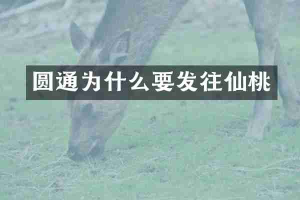 圆通为什么要发往仙桃