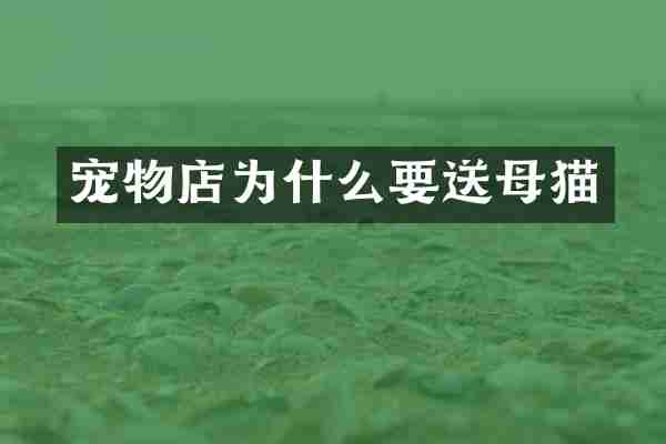 宠物店为什么要送母猫