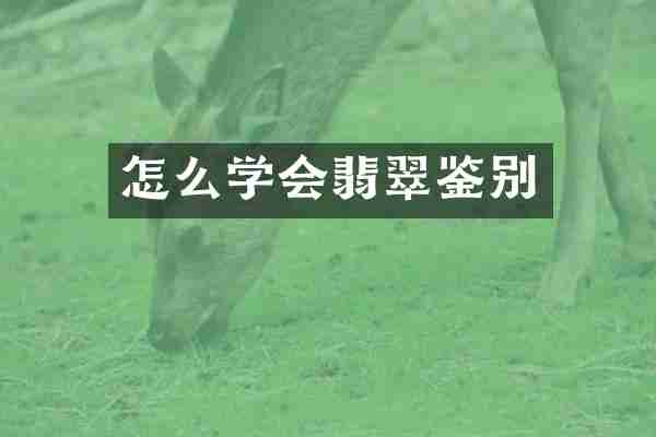 怎么学会翡翠鉴别