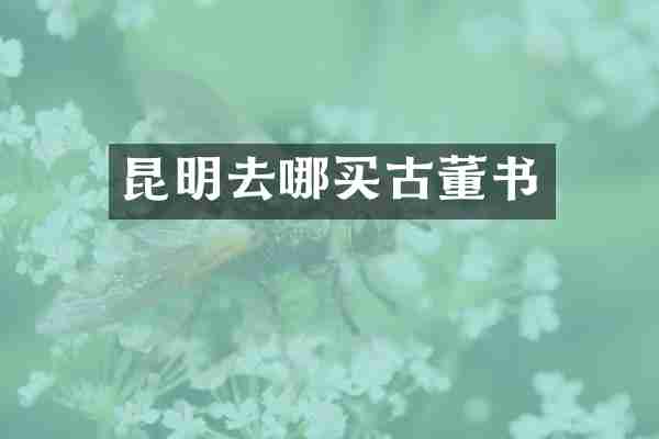 昆明去哪买古董书