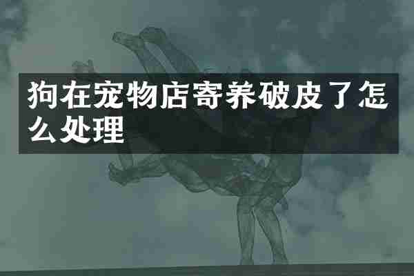 狗在宠物店寄养破皮了怎么处理