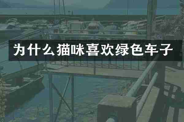 为什么猫咪喜欢绿色车子