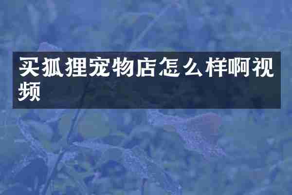买狐狸宠物店怎么样啊视频