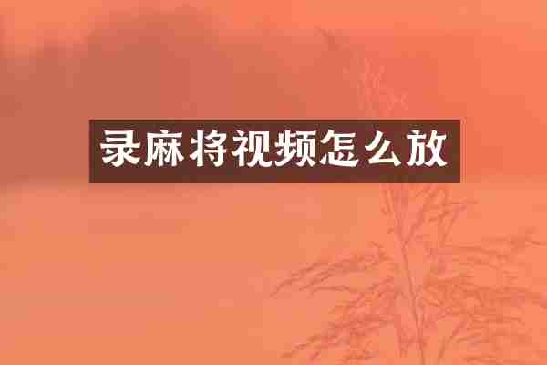 录麻将视频怎么放