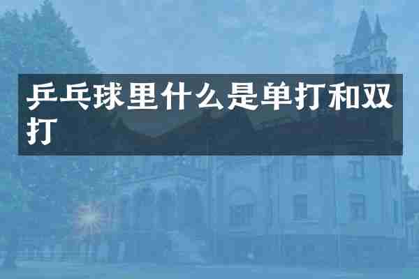 乒乓球里什么是单打和双打