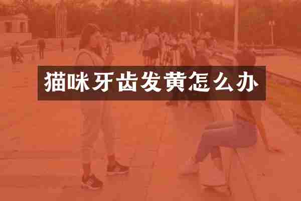 猫咪牙齿发黄怎么办