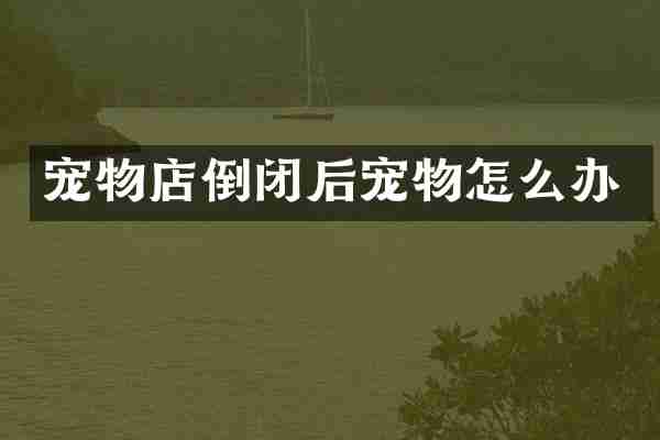 宠物店倒闭后宠物怎么办