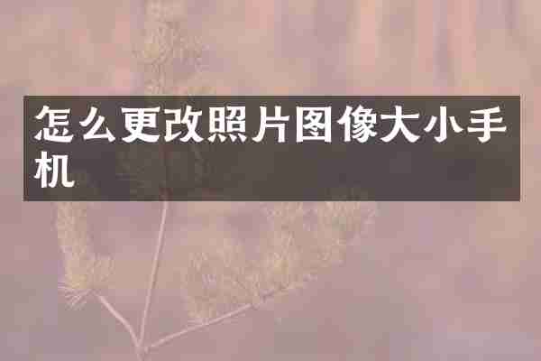 怎么更改照片图像大小手机