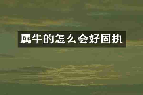 属牛的怎么会好固执