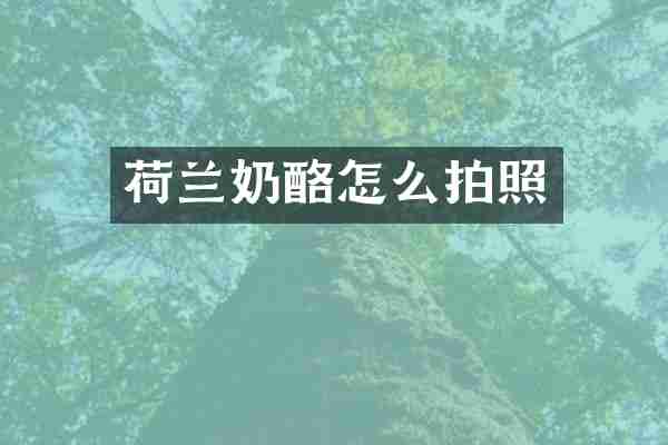 荷兰奶酪怎么拍照