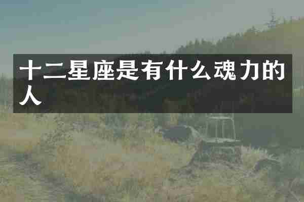 十二星座是有什么魂力的人