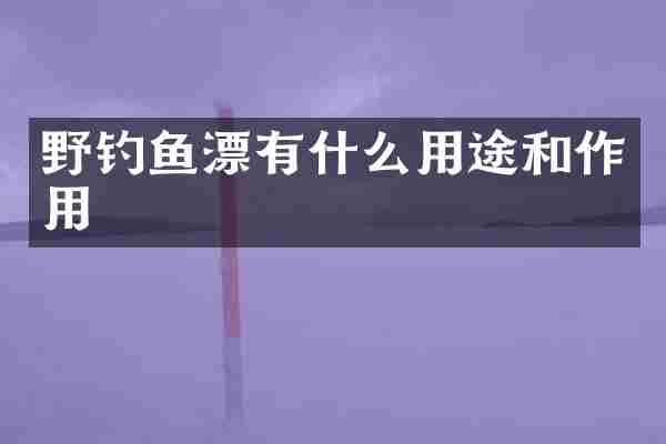 野钓鱼漂有什么用途和作用