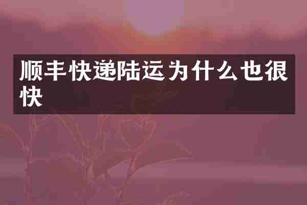 顺丰快递陆运为什么也很快