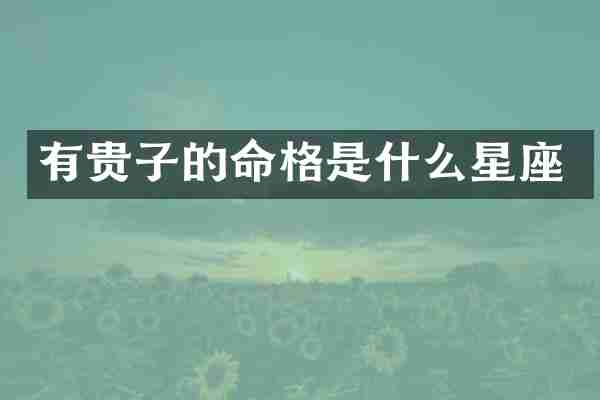 有贵子的命格是什么星座
