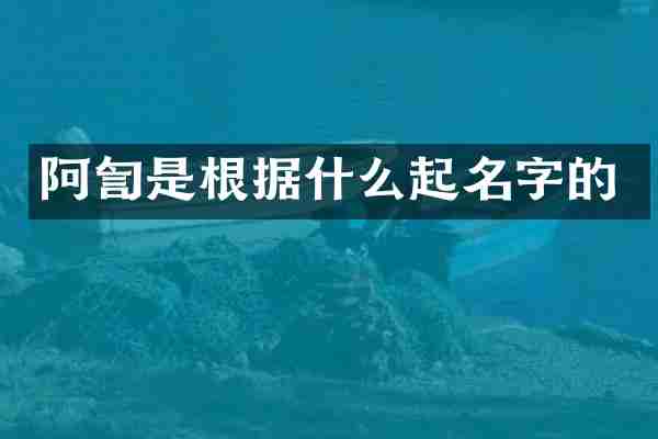 阿訇是根据什么起名字的