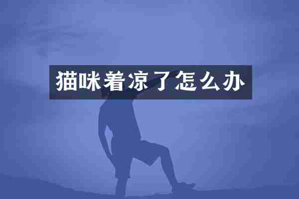 猫咪着凉了怎么办