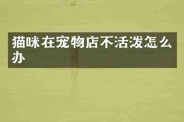 猫咪在宠物店不活泼怎么办