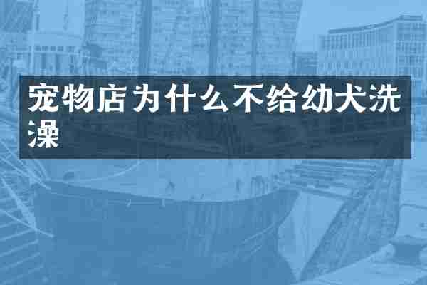宠物店为什么不给幼犬洗澡