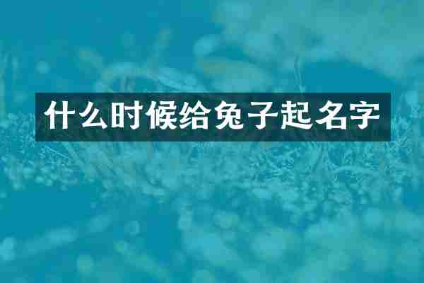 什么时候给兔子起名字
