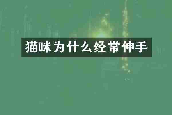 猫咪为什么经常伸手