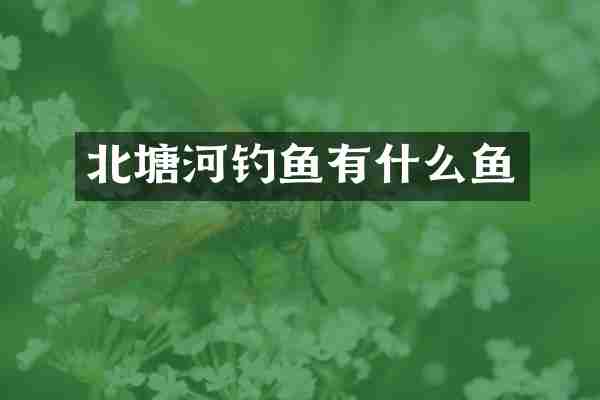 北塘河钓鱼有什么鱼