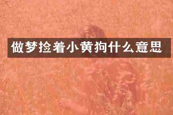 做梦捡着小黄狗什么意思