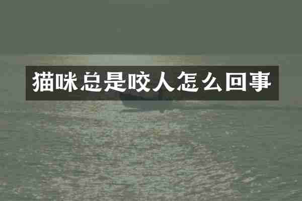猫咪总是咬人怎么回事