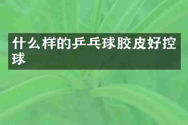 什么样的乒乓球胶皮好控球