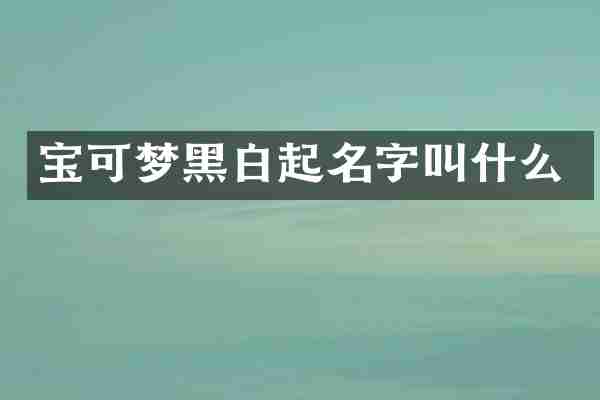 宝可梦黑白起名字叫什么