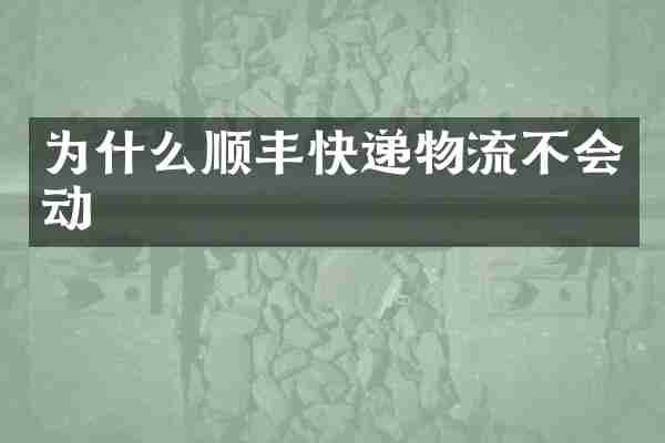 为什么顺丰快递物流不会动