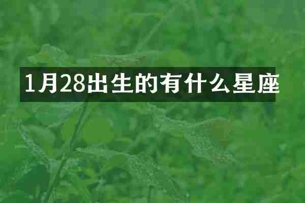 1月28出生的有什么星座