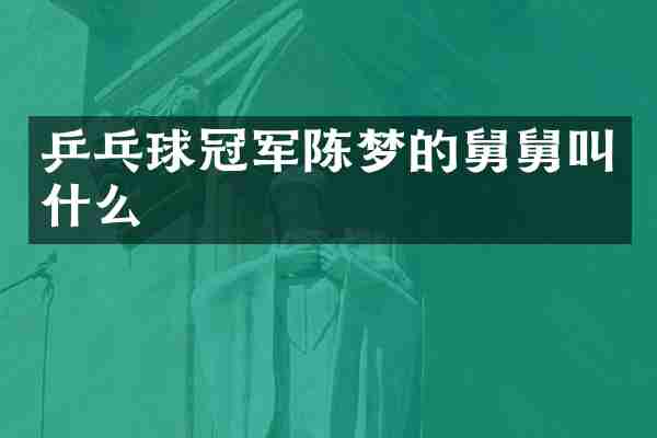乒乓球冠军陈梦的舅舅叫什么