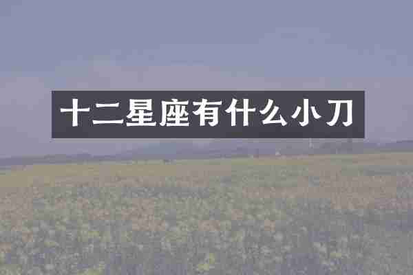 十二星座有什么小刀