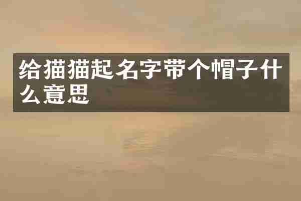 给猫猫起名字带个帽子什么意思