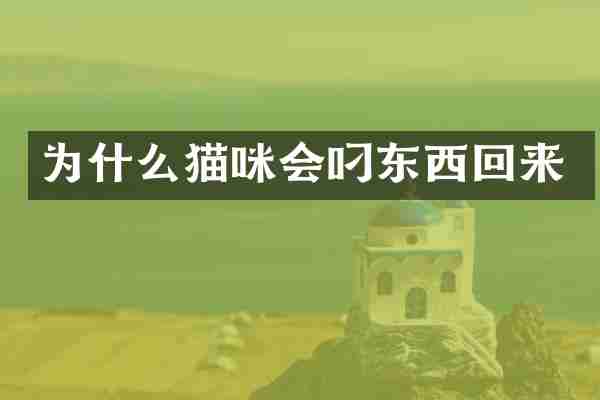 为什么猫咪会叼东西回来
