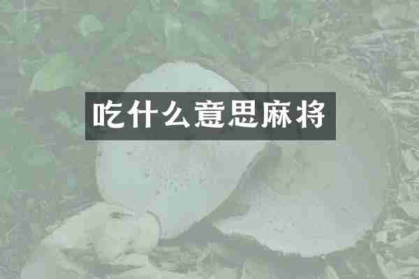 吃什么意思麻将