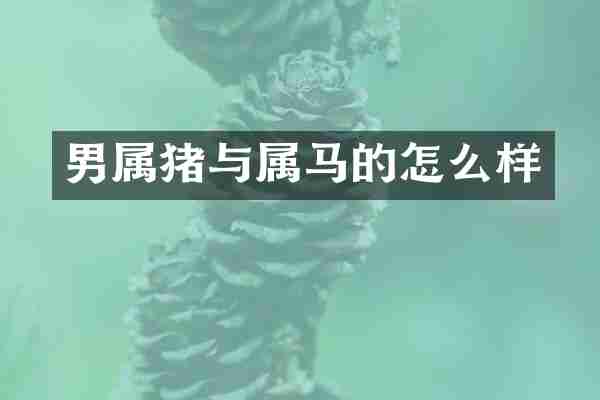 男属猪与属马的怎么样