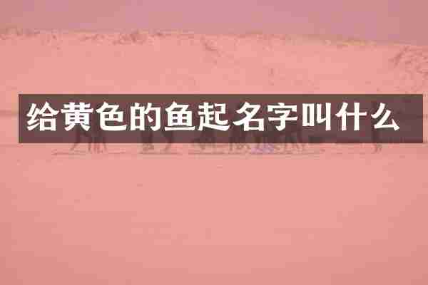 给黄色的鱼起名字叫什么