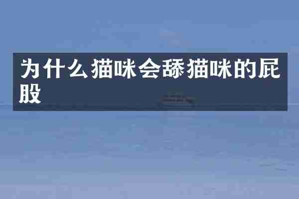 为什么猫咪会舔猫咪的屁股