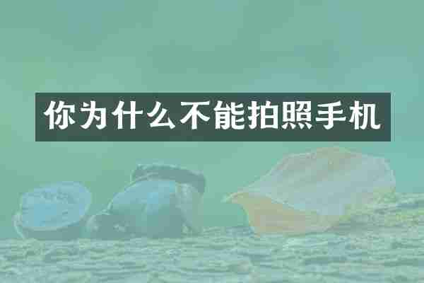你为什么不能拍照手机